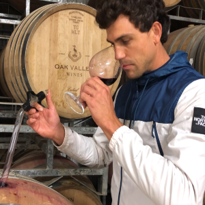 Tasting wine out of barrel. 